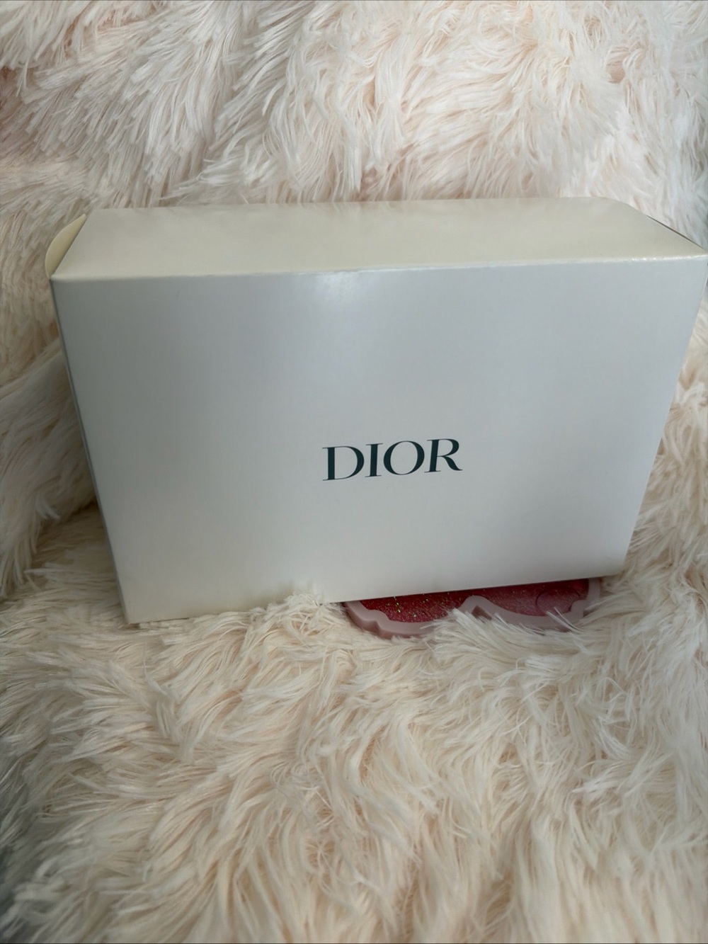 Dior Blush Pink CD Logo Cosmetic Pouch - Picture 4 of 5